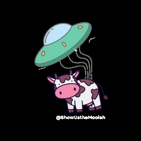 showusthemoolah alien cow vegas las vegas GIF