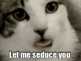 Seduction Flirting GIF - Find & Share on GIPHY