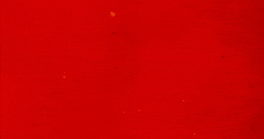 Dinosaur Slash GIF by University of Calgary