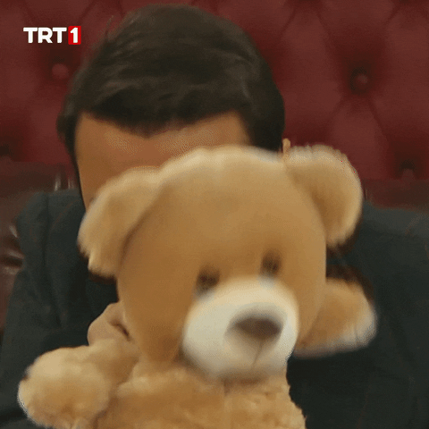 Teddy Bear Whatever GIF by TRT
