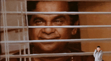 Kasi GIF