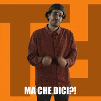 Italian Gestures What You Talkin About GIF by TheFactory.video