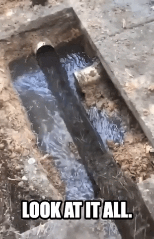Plumbing Pipes GIF by Storyful