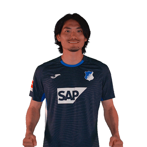 Sport Bundesliga Sticker by TSG Hoffenheim