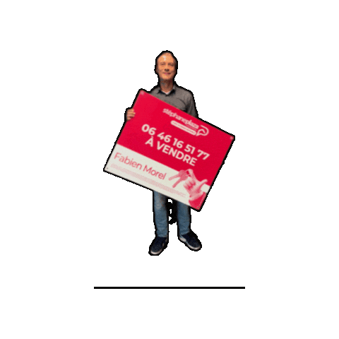 Plazalonslesaunier Sticker by Stéphane Plaza Immobilier