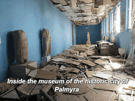 mariosgioannou syria conflict palmyra GIF