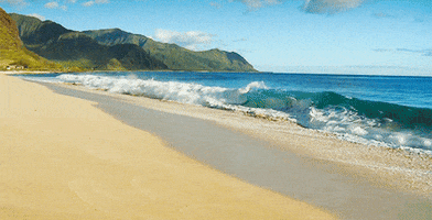 Beach Waves GIFs - Get the best GIF on GIPHY