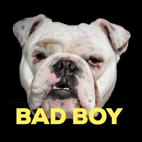 bulldog_club disney tired bulldog badboy GIF