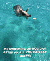 Peppa Pig Holiday GIF by Absolute Digital Media Peppa Pig Holiday GIF by Absolute Digital Media