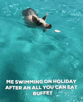 Peppa Pig Holiday GIF by Absolute Digital Media