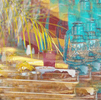 Rebru Spirits GIF