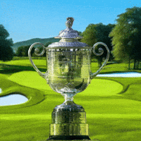 Tiger Woods Sport GIF by RightNow