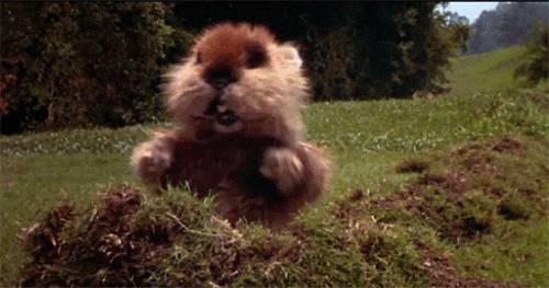 giphy.gif?cid=790b761196556f2e46a78cc406
