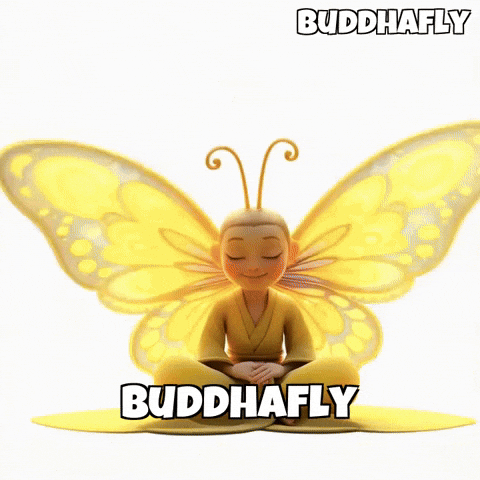 Peace Focus GIF by BuddhaFlyJourney