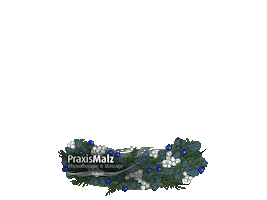 Winter Globe Sticker by Praxis Malz