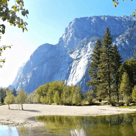 Vajira Samaratne GIF