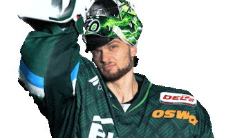 Bietigheim Steelers Sticker