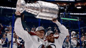 Happy Stanley Cup GIF by NHL