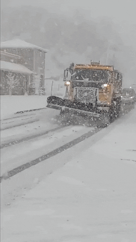 Snow Blizzard GIF by Storyful