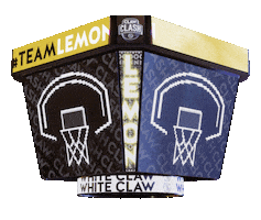 Basketball Lemon Sticker by White Claw