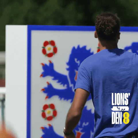 Three Lions Celebration GIF by EE