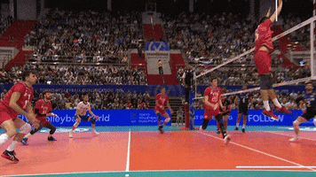 Lets Go Action GIF by Volleyball World
