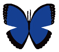Butterfly Gm Sticker