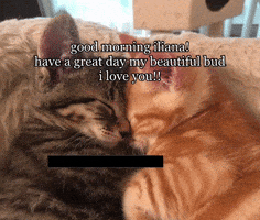 Good Morning Iliana Have A Great Day GIF