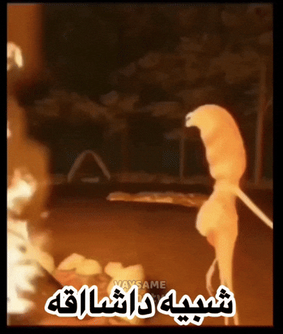 Marcusdashaq GIF