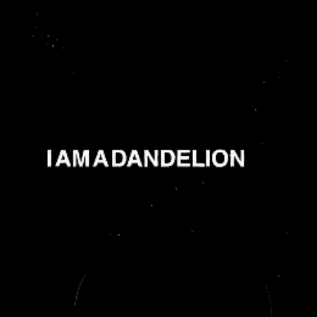 GIF by Project Dandelion