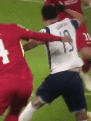 Van Dijk GIF