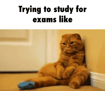 Exams GIF - Find & Share on GIPHY