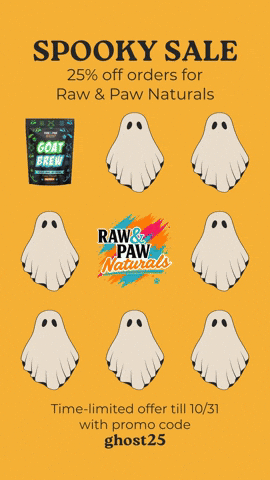 GIF by OKC Frenchies