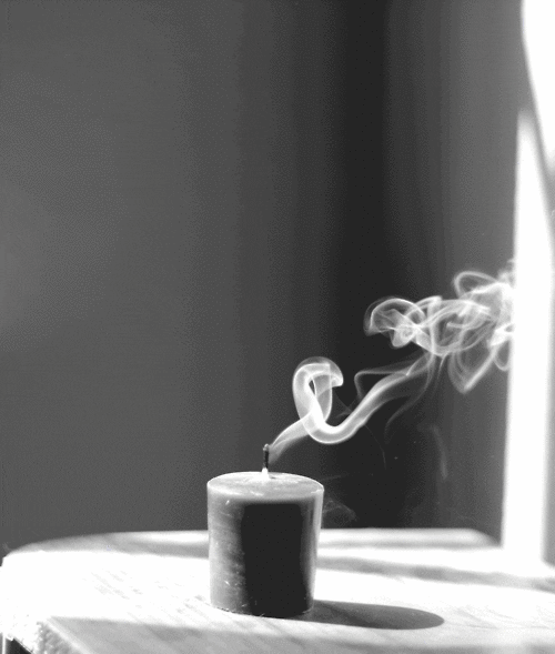 black and white wind GIF