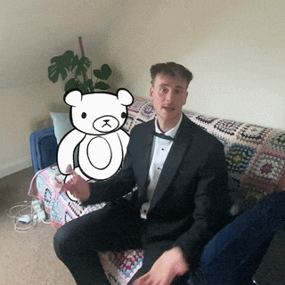 The Bear No GIF