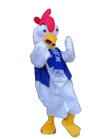 Goal Barneveld Sticker by ziendtp