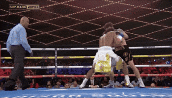 Boxing GIF