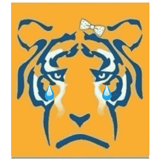 Tigres Chillon GIF by BARSUK