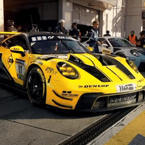 Racing Race GIF by Dunlop Tire NA