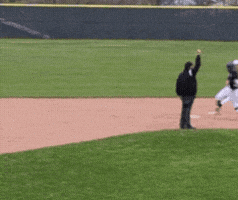 Baseball Marcellus GIF by Purse Gummy