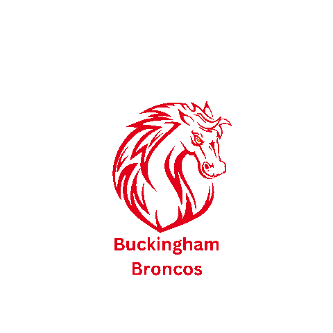 Bronco Buckingham Sticker by The English School, Kuwait