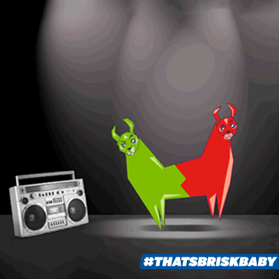 art party GIF by Brisk