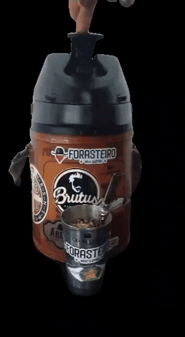 Forasteiro West Clothes GIF