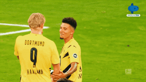 Dortmund Haaland Gifs Get The Best Gif On Giphy