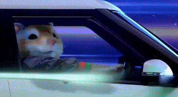 Kia Soul GIF