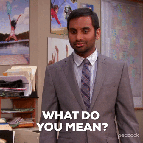 What Do You Mean Season 5 GIF by Parks and Recreation