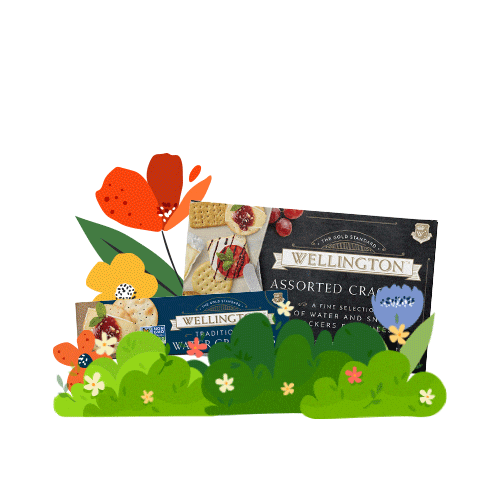 Spring Season Flowers Sticker by Wellington Crackers