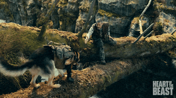 Come Here Brad Pitt GIF by Heart of the Beast