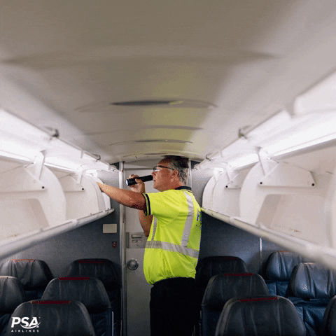 PSA Airlines GIF