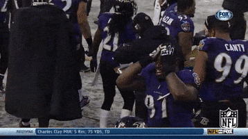 Baltimore Ravens Reaction GIF by NFL